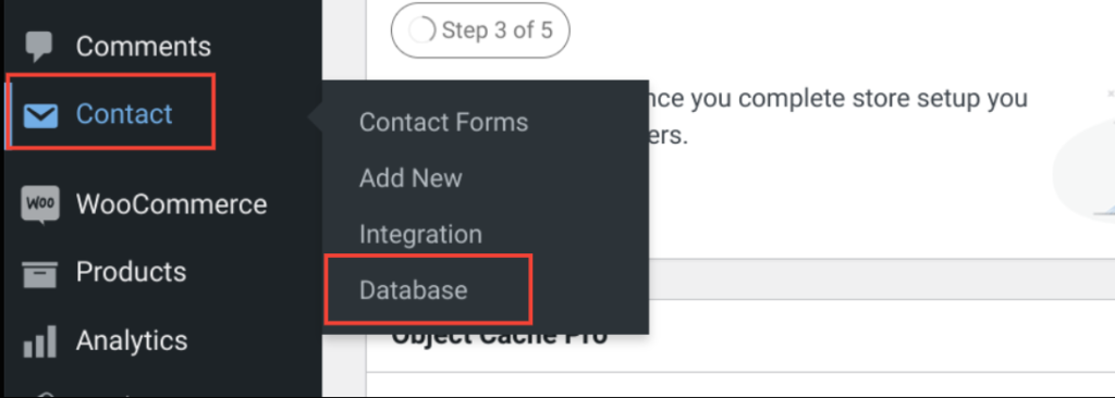 Access the Database for Contact Form 7 plugin